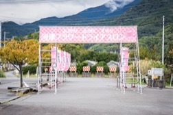 Photo_kwztri2025_00001